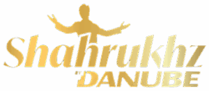 logo 1